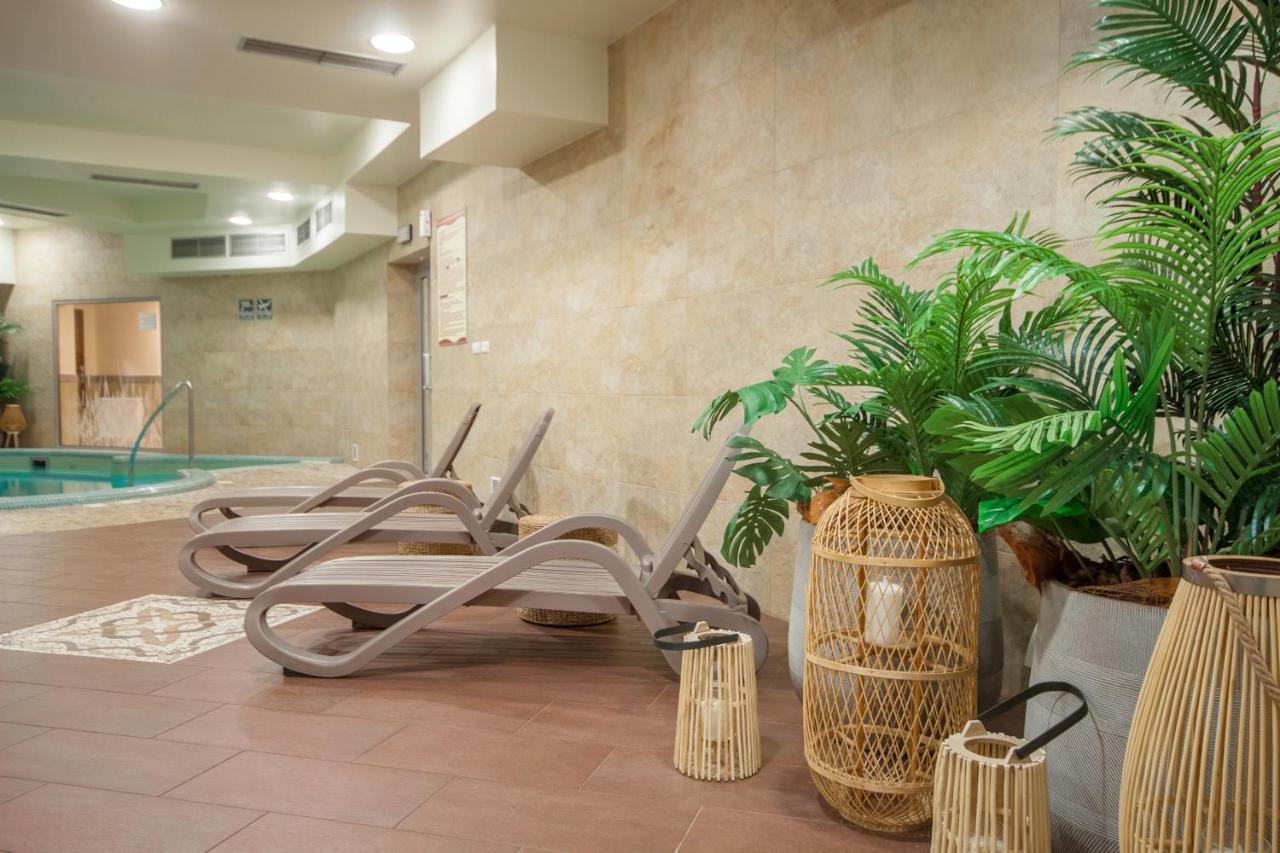 Apartserwis Gorace Zrodla - Apartament Kozi Wierch 扎科帕内 外观 照片